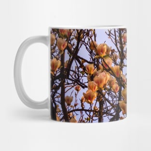 Peach flowers spring colors photography Mug